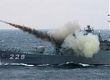 Japan Fleet Review