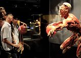 Body Worlds Exibition in Singapore