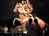 Body Worlds Exibition in Singapore