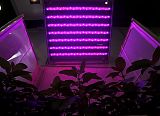 LED + Light Tech Expo Hong Kong