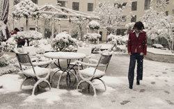 Beijing First Snow