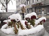 Beijing First Snow
