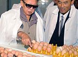Kim Jong-Il Visits Egg Farm