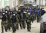 Korea Swine Flu Alert