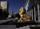 China Growth Forecast