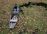 Dal Lake Srinagar Kashmir India