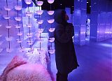 Mumbai Ice Bar