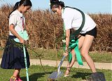 Earth Beauties Plant Trees