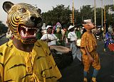 Climate Walk Calcutta
