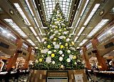 Eco-Christmas Tree at Tokyo Mitsukoshi