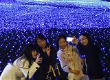 Sea of Lights in Tokyo
