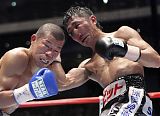 Flyweight Championship Fight