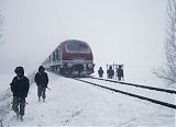 India Cold Wave