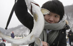 Korean Ice Festival