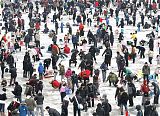 Korean Ice Festival