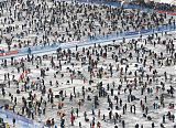 Korean Ice Festival
