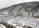 Korean Ice Festival