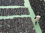 Seoul Shoe Thief