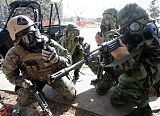 U.S.-S. Korea Military Drills