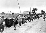 Allied Prisoners Carrying Dead