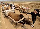 Drought in Guangxi China