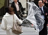 Strong Winds in Tokyo