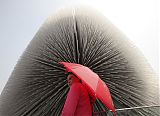 Shanghai World Expo