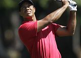 Tiger Out with Possible Disk Injury