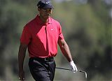 Tiger Out with Possible Disk Injury