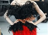 Paris Fashion - Fall/Winter 2010-2011