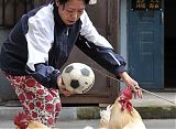 Soccer-Playing Roosters