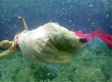 Underwater Hanbok Fashion Show